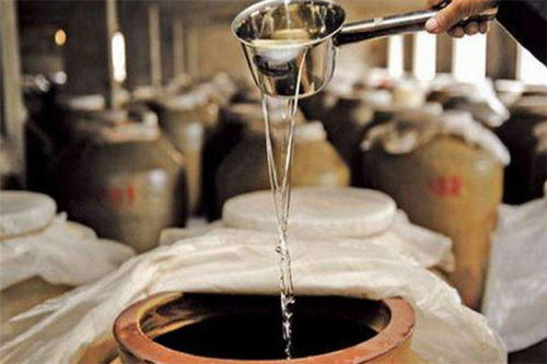 酒真多 掘金白酒零售市場的加盟新機遇